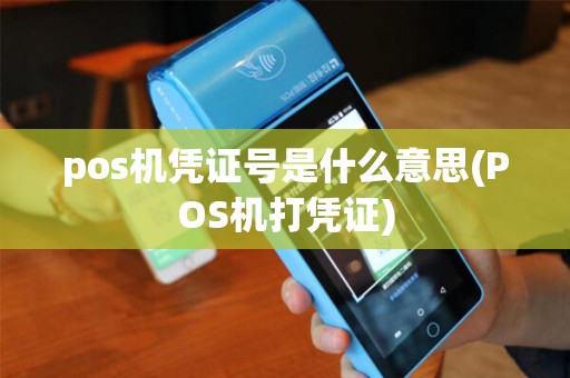 pos机凭证号是什么意思(POS机打凭证)
