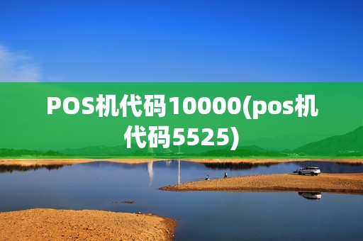 POS机代码10000(pos机代码5525)