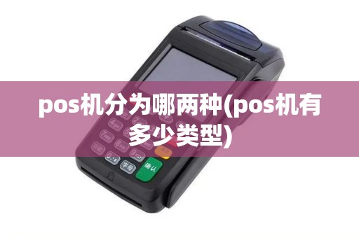 pos机分为哪两种(pos机有多少类型)