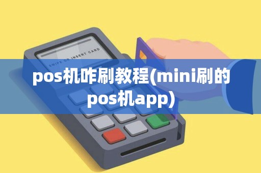 pos机咋刷教程(mini刷的pos机app)