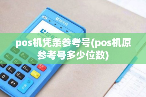 pos机凭条参考号(pos机原参考号多少位数)