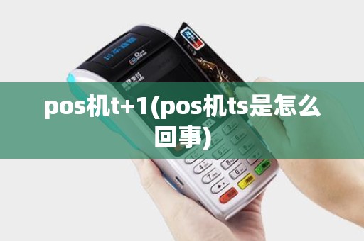 pos机t+1(pos机ts是怎么回事)