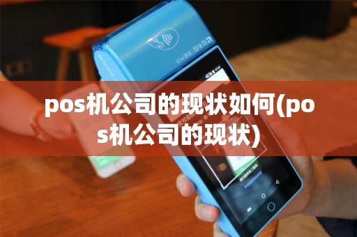 pos机公司的现状如何(pos机公司的现状)
