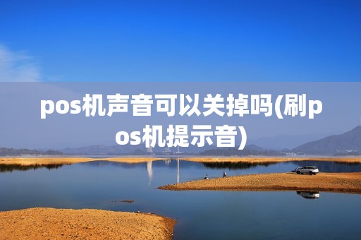 pos机声音可以关掉吗(刷pos机提示音)