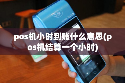 pos机小时到账什么意思(pos机结算一个小时)
