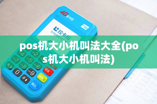 pos机大小机叫法大全(pos机大小机叫法)