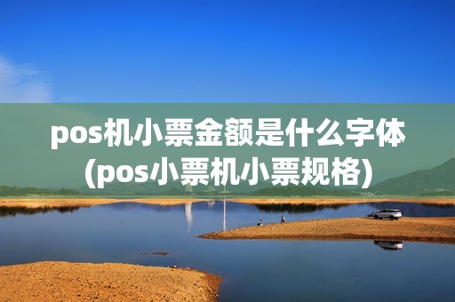 pos机小票金额是什么字体(pos小票机小票规格)