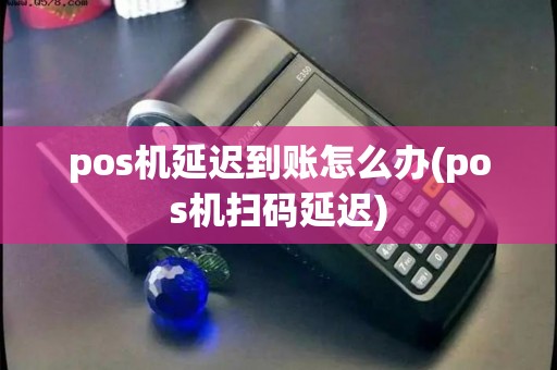pos机延迟到账怎么办(pos机扫码延迟)