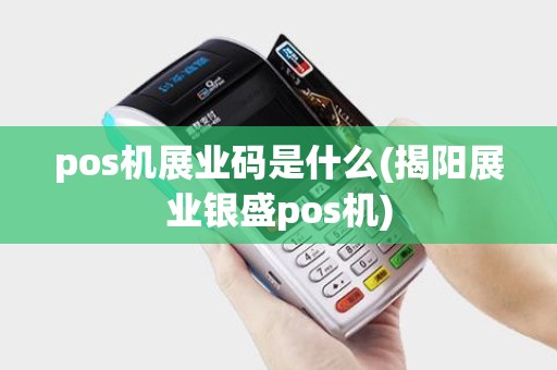 pos机展业码是什么(揭阳展业银盛pos机)