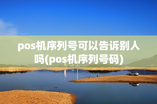 pos机序列号可以告诉别人吗(pos机序列号码)