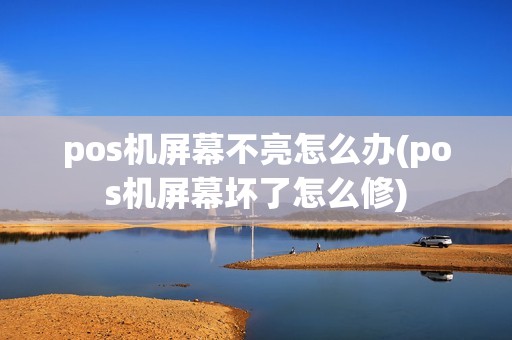 pos机屏幕不亮怎么办(pos机屏幕坏了怎么修)