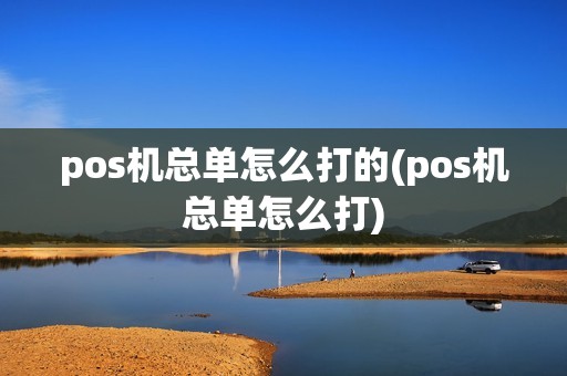 pos机总单怎么打的(pos机总单怎么打)