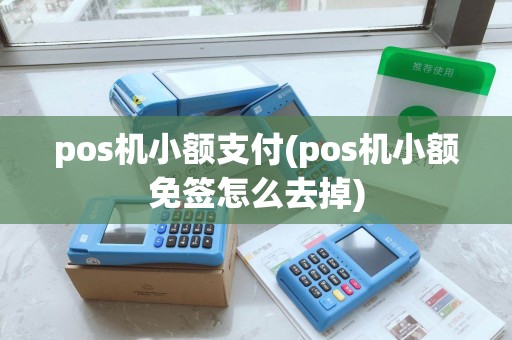 pos机小额支付(pos机小额免签怎么去掉)