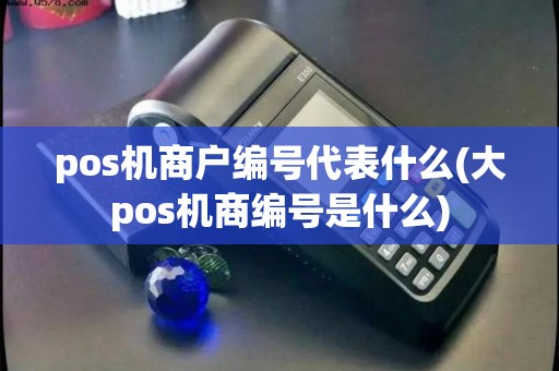 pos机商户编号代表什么(大pos机商编号是什么)