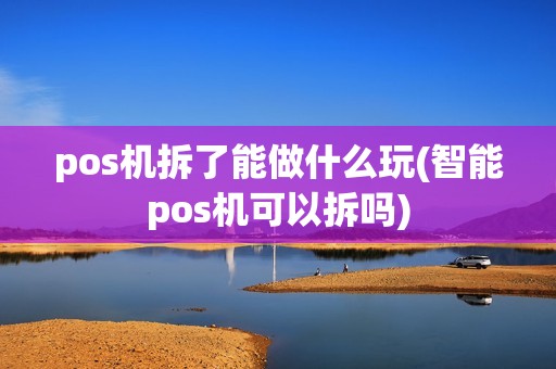 pos机拆了能做什么玩(智能pos机可以拆吗)
