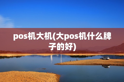 pos机大机(大pos机什么牌子的好)