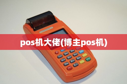 pos机大佬(博主pos机)