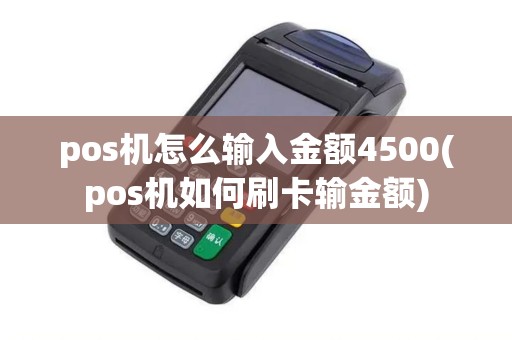 pos机怎么输入金额4500(pos机如何刷卡输金额)