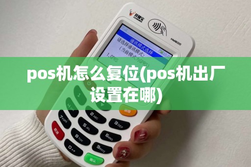 pos机怎么复位(pos机出厂设置在哪)