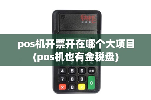 pos机开票开在哪个大项目(pos机也有金税盘)