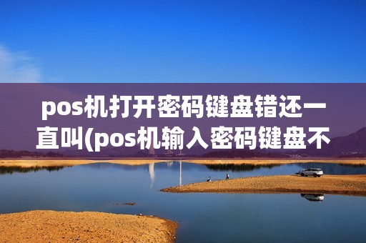 pos机打开密码键盘错还一直叫(pos机输入密码键盘不亮)