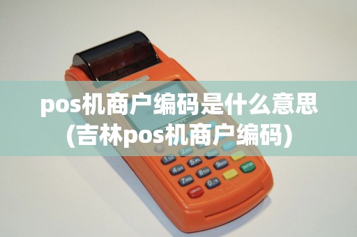 pos机商户编码是什么意思(吉林pos机商户编码)