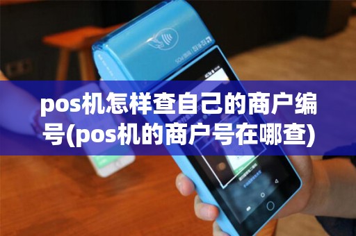 pos机怎样查自己的商户编号(pos机的商户号在哪查)