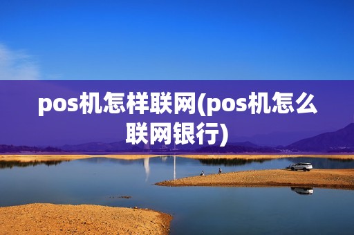 pos机怎样联网(pos机怎么联网银行)