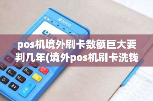 pos机境外刷卡数额巨大要判几年(境外pos机刷卡洗钱)