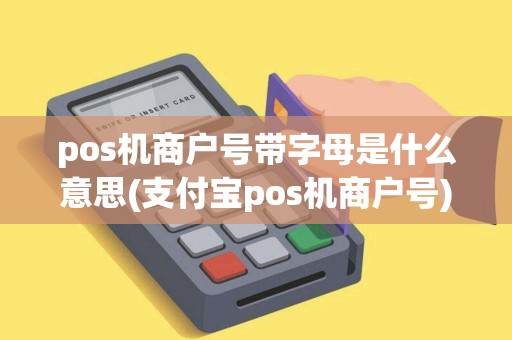 pos机商户号带字母是什么意思(支付宝pos机商户号)