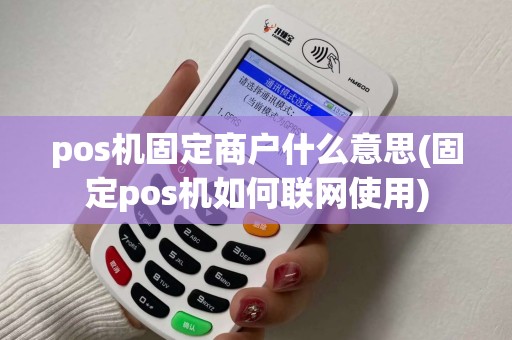 pos机固定商户什么意思(固定pos机如何联网使用)