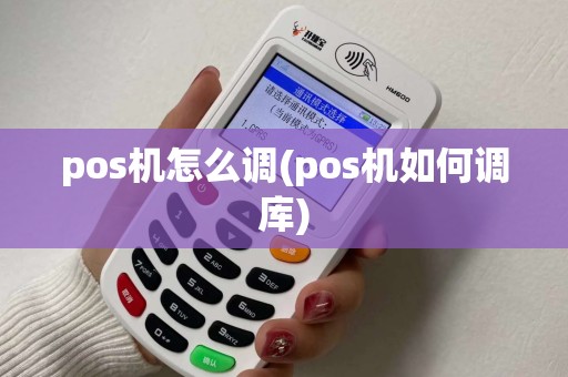 pos机怎么调(pos机如何调库)