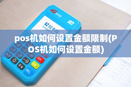 pos机如何设置金额限制(POS机如何设置金额)