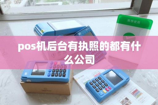 pos机后台有执照的都有什么公司