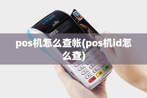 pos机怎么查帐(pos机id怎么查)