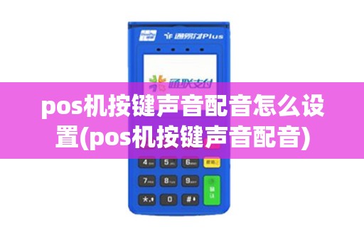 pos机按键声音配音怎么设置(pos机按键声音配音)