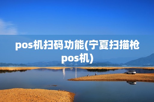 pos机扫码功能(宁夏扫描枪pos机)