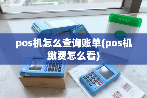 pos机怎么查询账单(pos机缴费怎么看)