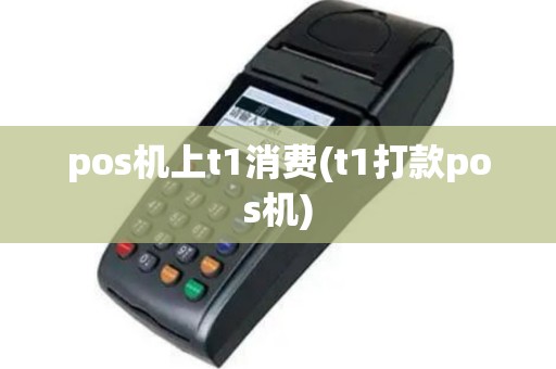 pos机上t1消费(t1打款pos机)