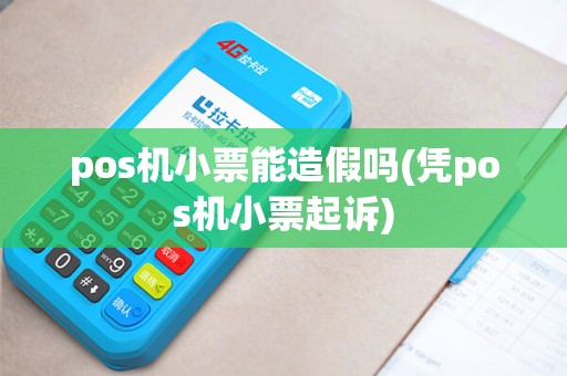 pos机小票能造假吗(凭pos机小票起诉)