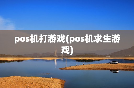 pos机打游戏(pos机求生游戏)