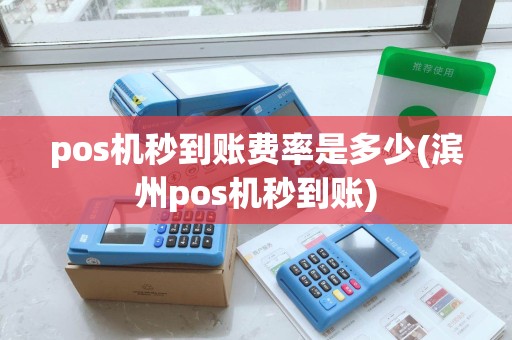 pos机秒到账费率是多少(滨州pos机秒到账)