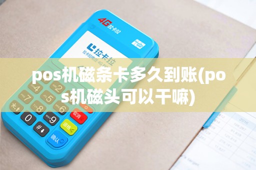 pos机磁条卡多久到账(pos机磁头可以干嘛)
