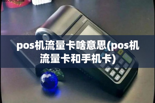 pos机流量卡啥意思(pos机流量卡和手机卡)