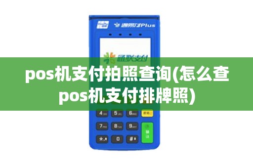 pos机支付拍照查询(怎么查pos机支付排牌照)
