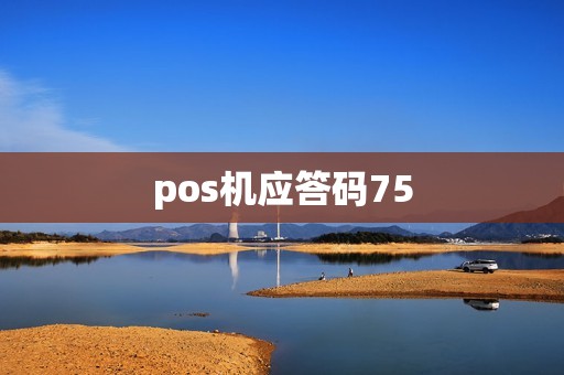 pos机应答码75