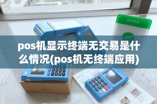 pos机显示终端无交易是什么情况(pos机无终端应用)