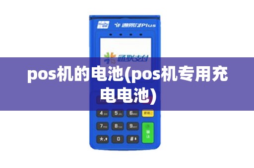 pos机的电池(pos机专用充电电池)