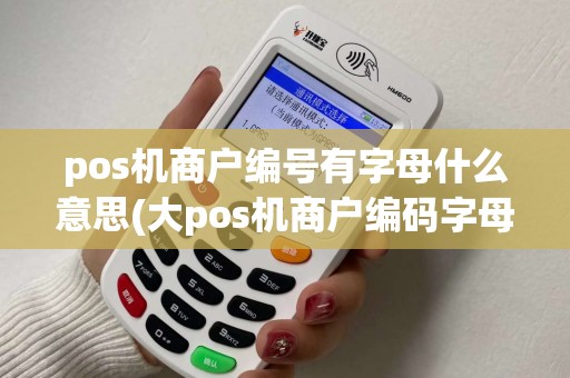 pos机商户编号有字母什么意思(大pos机商户编码字母)