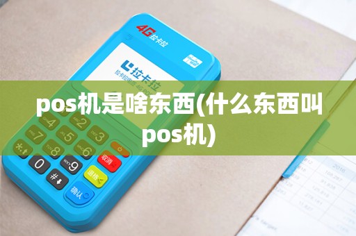 pos机是啥东西(什么东西叫pos机)